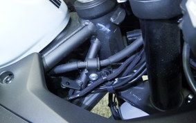 KAWASAKI ZX-4R SE 2024 ZX400P