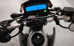 KAWASAKI D-TRACKERX LX250V