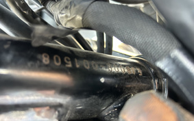 KAWASAKI W800 CAFE 2019