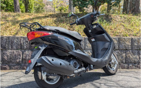 YAMAHA AKUSHI STREET SE53J