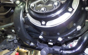 HARLEY XL883N 2015