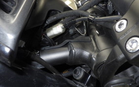 YAMAHA MT-07 2024 RM33J