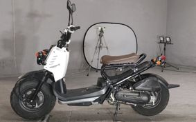 HONDA ZUMAR AF58
