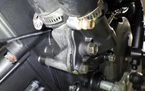 HONDA HORNET 250 MC31