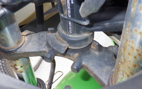 KAWASAKI NINJA 250