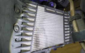 YAMAHA MT-25 2019 RG10J