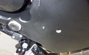 TRIUMPH BONNEVILLE T100 2025