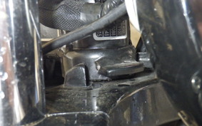 OTHER +ENFIELD INT650 2024