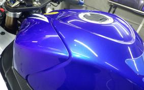 SUZUKI GSX-R1000 2009