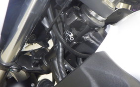 KAWASAKI Z250