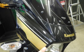 KAWASAKI ZRX1200 D 2016 ZRT20D