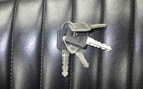 HARLEY XL1200XS 2020