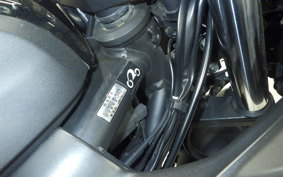 YAMAHA YZF-R25 RG10J