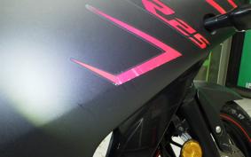 YAMAHA YZF-R25 A 2025 RG10J