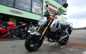 HONDA GROM JC92