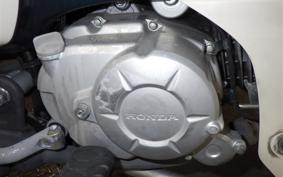 HONDA C50 SUPER CUB AA09