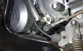 KAWASAKI ZZ-R250 2006 EX250H