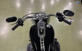 HARLEY  HARLEY FLFBS 2024 YGK