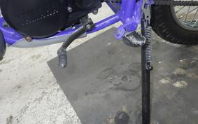 YAMAHA DT50 2024 17W