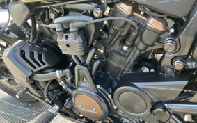 HARLEY RH1250S 2022 ZC4