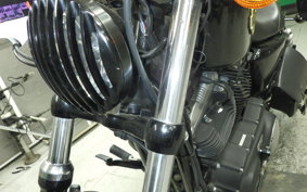 OTHER +HD. XL1200X 2014