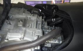 HONDA FAZE S 2022 MF11