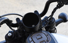 HARLEY Sprotster S ZC4