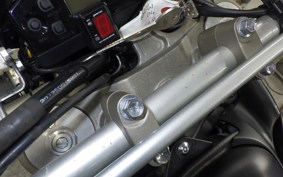 YAMAHA WR250X 2021 DG15J
