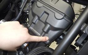 HONDA REBEL 250 S 2007 MC49