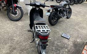 HONDA SUPER CUB110 JA10