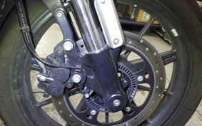 OTHER +ENFIELD SUPER ﾒﾃｵ650 2025