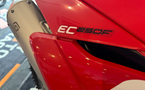 GASGAS EC 250 F