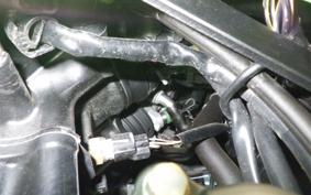 KAWASAKI NINJA 250 2023 EX250Y