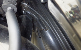 HONDA DIO 110 JF58