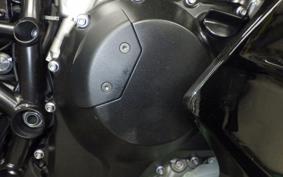 KAWASAKI NINJA H2 SX SE 2021