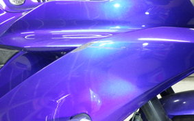 YAMAHA YZF-R25 A RG43J
