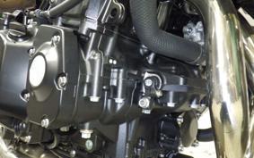 KAWASAKI Z900RS 2025 ZR900K