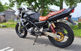 SUZUKI GSX250 ZR250C