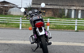 SUZUKI GSX250 GS25X