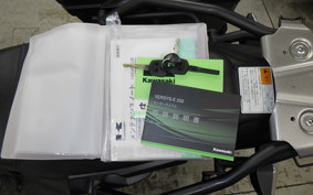 KAWASAKI VERSYS X250Aﾂｱﾗｰ LE250D
