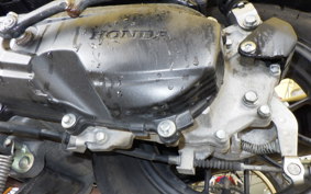 HONDA DUNK AF74