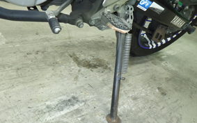 YAMAHA WR250X DG15J