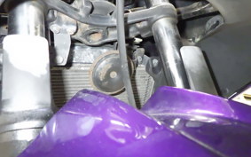 KAWASAKI NINJA 250R 2019 EX250K