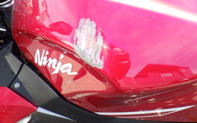 KAWASAKI NINJA 250 2