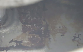 HONDA CB400SF 1995 NC31