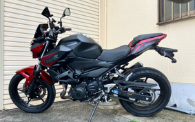 KAWASAKI Z250 ABS EX250P