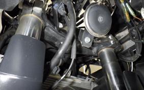 KAWASAKI NINJA 250 EX250P