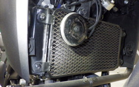 SUZUKI Vｽﾄﾛｰﾑ250 1996