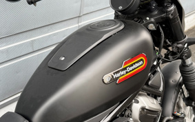 HARLEY  HARLEY RH975S NIGHT  STAR  2023 ZF1