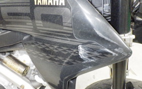 YAMAHA WR250X 2024 DG15J